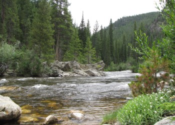 CLRDCG Big South Campground River View