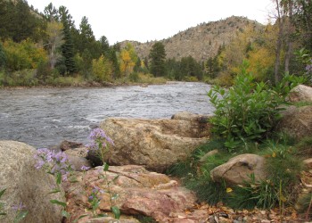 CLRDCG Kelly Flats River View from Campground