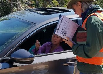 Card - Passes and Permits Image