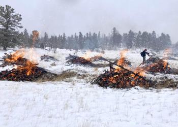 Pile Burning