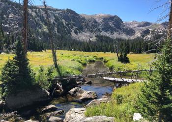 A high elevation mountain stream with rocky peaks in the back