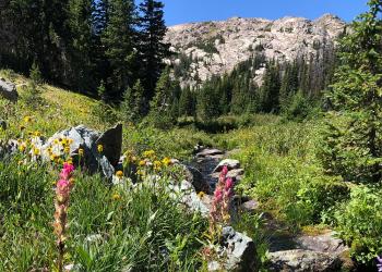 Edelman Creek in Cloud Peak Wilderness