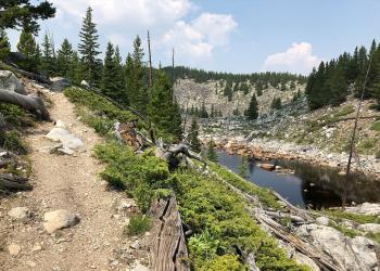 A trail near a high elevation mountain lake