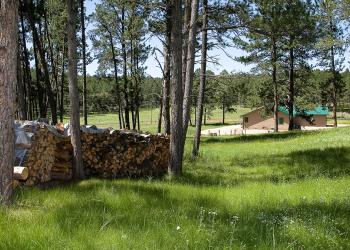 Firewood pile