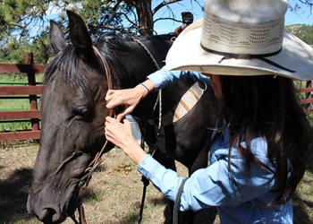 Horse Riding