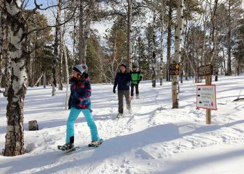 Snowshoeing at Big Hill