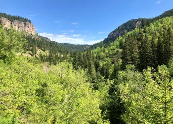 Spearfish Canyon in the Summer