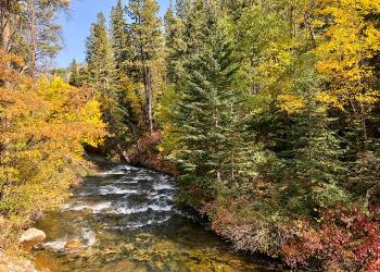 Spearfish Canyon in the fall
