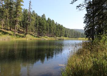 View from Dalton Lake Campground