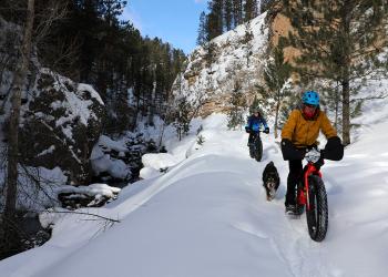 card - fat biking