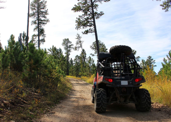 card - ohv
