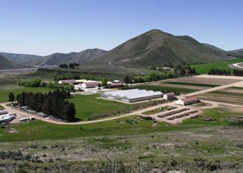 Slide Show 1 - Lucky Peak Nursery