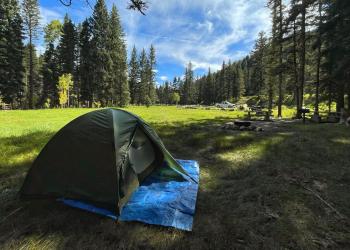 A tent at a campground in a pine forest.