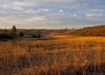 Image - Moquah Barrens Landscape