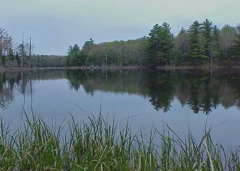 Plan Your Trip: Wilderness