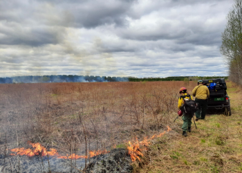 Prescribed Burn