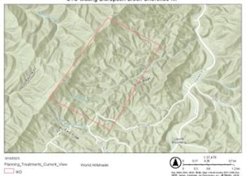 Spongy Moth_STS MD Block Cherokee NF