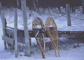 Snowshoes