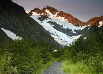A trail leads to a mountainous glacier.