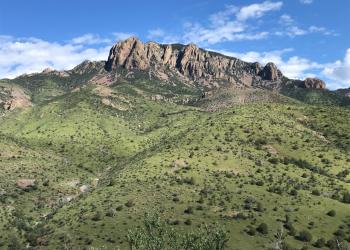 "Vick's Peak, Magdalena RD"