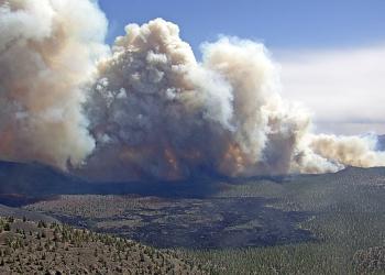 A ferocious wildfire in Coconino National Forest named the Tunnel Fire, happened in April of 2022.