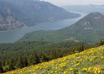View from the top of Dog Mountain