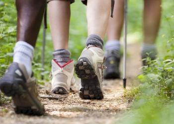 Photo of the feet of a group hiking
