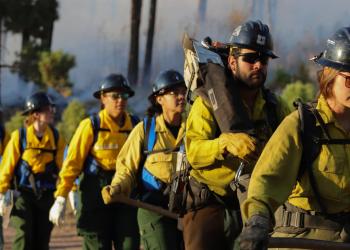 Firefighters walking in a line