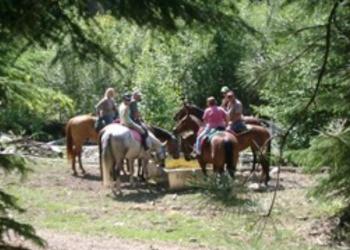 Outfitting and guiding - horses