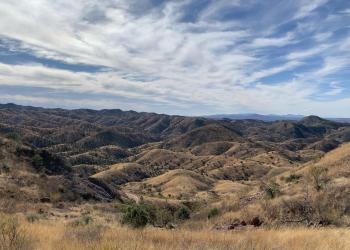 The Atascosa Trail #100 IN THE Nogales Ranger District