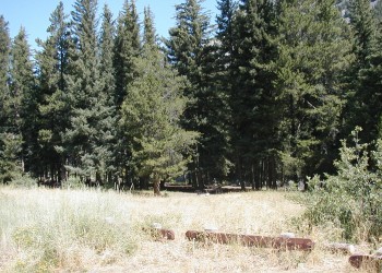 Another Falls Creek Campsite