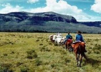 A group on a guided horseback ride through a flat meadow area. A mountain is in the background.