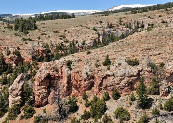 A photo of a landscape area with isolated pine trees, exposed red rock cliffs and flat areas/plateaus.