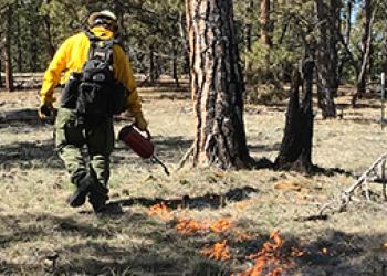 Timber Prescribed burn Ashland RD CG NF 2022