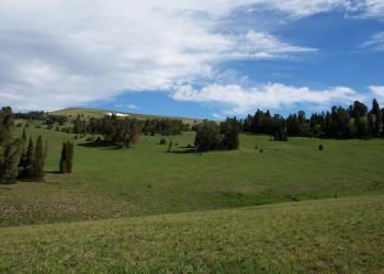 Windy Pass - View From Trail