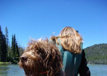 Dog sitting up in boat with gear