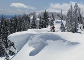 Skier in Jeff- 3 Finger
