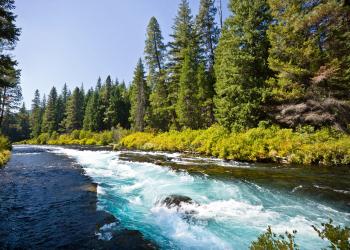 Wizard Falls on the Metolius River