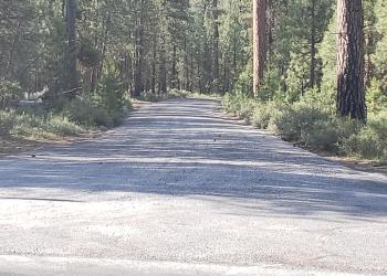 Wyeth Access Road_After 01