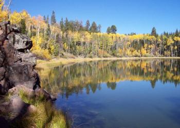 D4 Yellow Lake