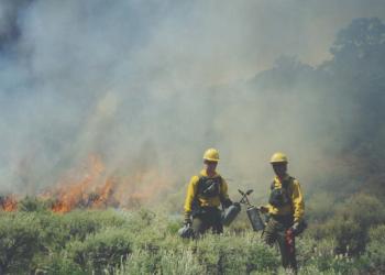 Fire - Drip Torch