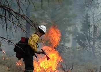 Wildland Firefighter