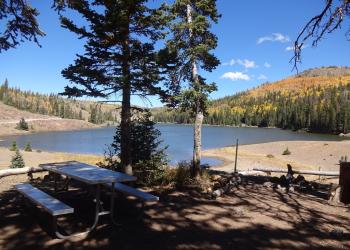Manning Meadows Picnic Table