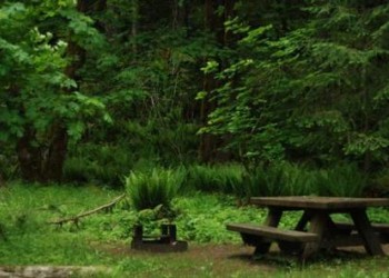 Blue Lake Creek Campground