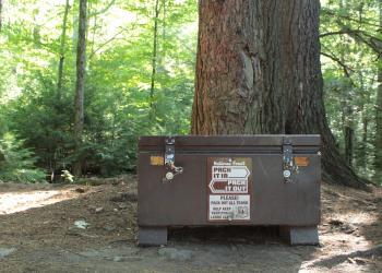 Bear Box