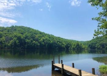 Bark Camp Lake in Summer
