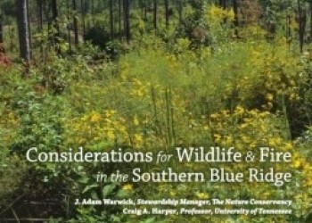 Considerations for Wildlife and Fire