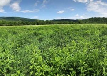 Forest Service receives award for habitat management