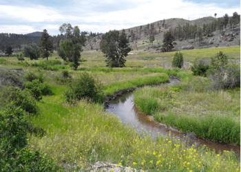 Beaver Creek Phase 1 completed