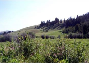 CastleMountains.jpg